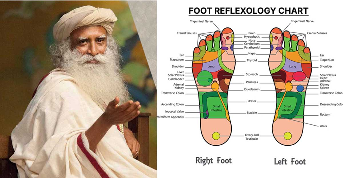 DetoxNatura foot patches for nighttime use