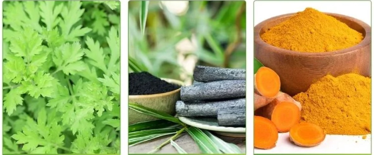 DetoxNatura foot patches for nighttime use