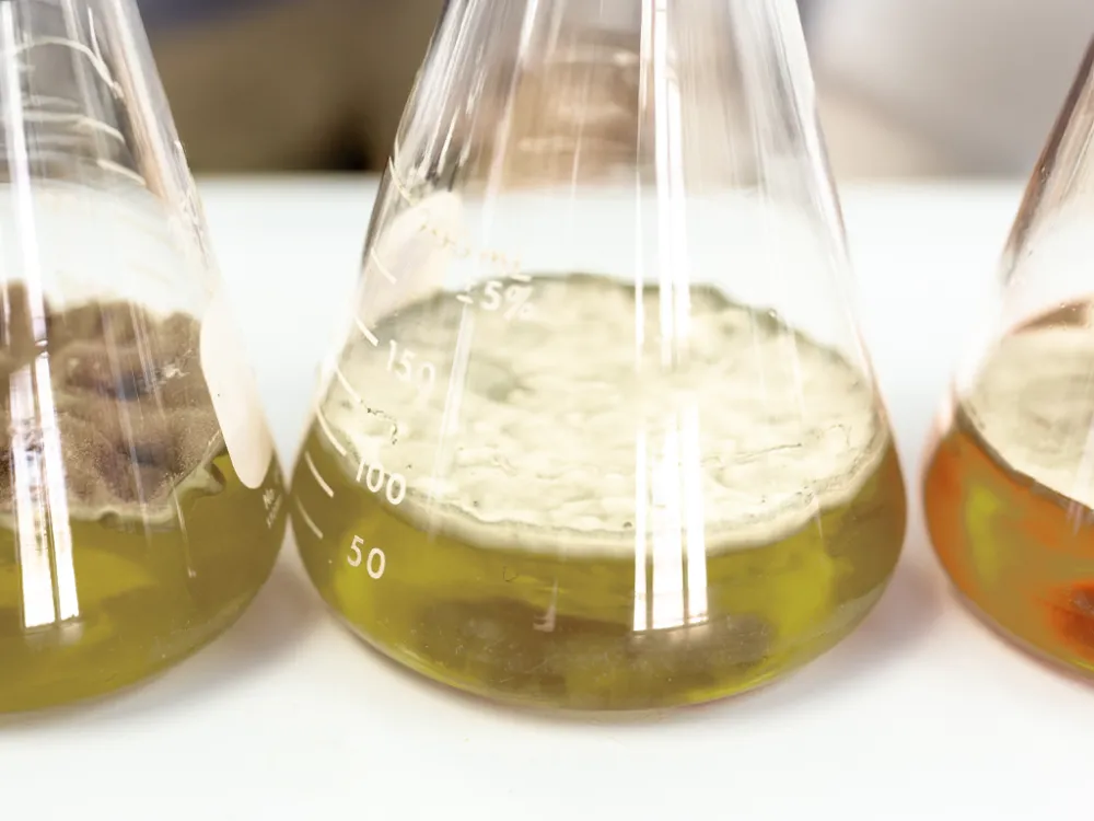 DetoxNatura patch ingredients