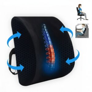 Lumbaris back support cushion