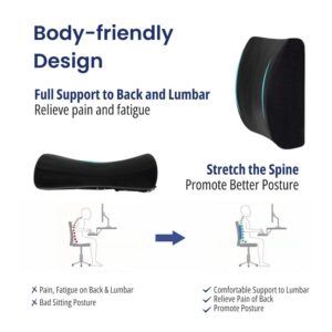 Back Support Cushion – Lumbaris - Image 5