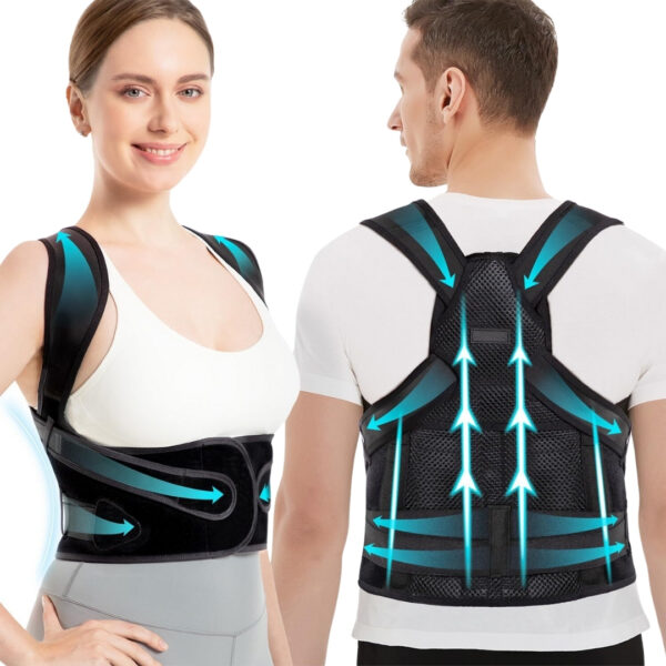 Spineo posture support